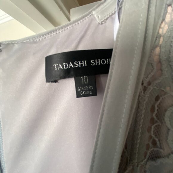 Tadashi Shoji, Dumin Lace Dress in Pewter, Size 10 - Picture 3 of 11